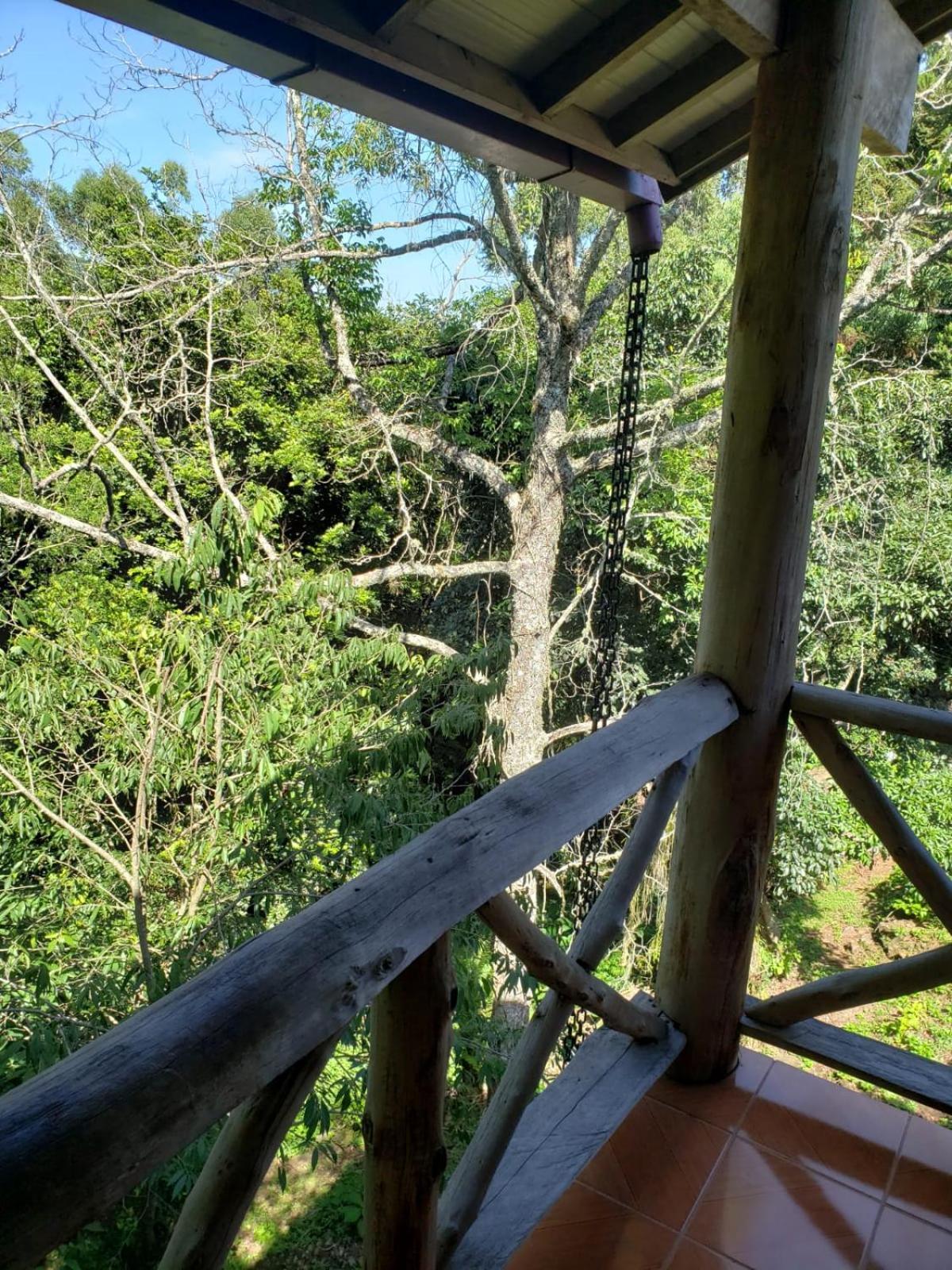 Pousada Da Chacara Nova Petropolis Luaran gambar